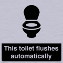 this-toilet-flushes-automatically~